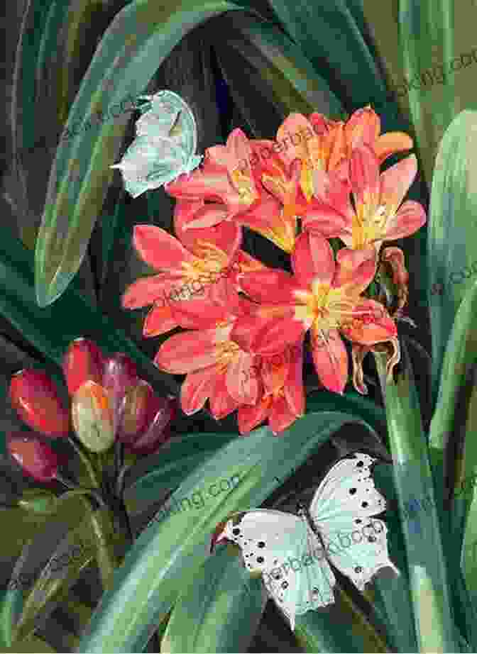 A Color Painting By Marianne North, Depicting A Variety Of Tropical Flowers 102 Color Paintings Of Marianne North British Victorian Naturalist And Botanical Painter (October 24 1830 August 30 1890)