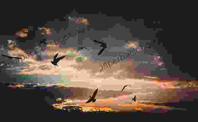 A Flock Of Birds Soaring Through The Sky It S For The Birds By L J Smith