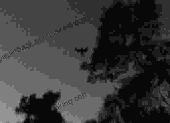 A Grainy Black And White Image Of The Alleged Mothman Sighting Near Point Pleasant, West Virginia. Monsters Of West Virginia: Mysterious Creatures In The Mountain State