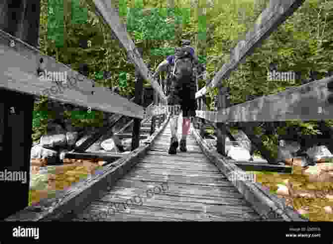 A Hiker Crossing A Wooden Footbridge Over A Sparkling Stream Waterton Lakes National Park Hiking Guide