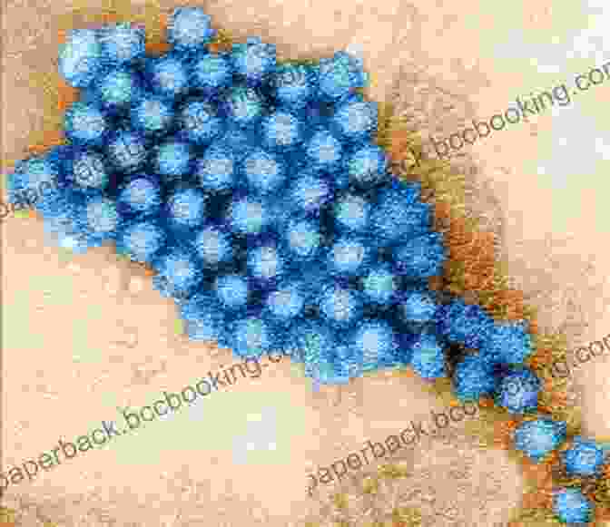 A Microscopic Image Of A Killer Virus, With Its Intricate Viral Particles And Genetic Material. Panic In Level 4: Cannibals Killer Viruses And Other Journeys To The Edge Of Science