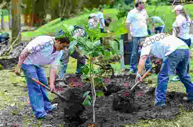 A Person Planting A Tree In A Costa Rican Forest Creating Your Own Costa Rican Adventure: The Bob And Debby Tour Updated (Traveling With The Boat Bums 2)