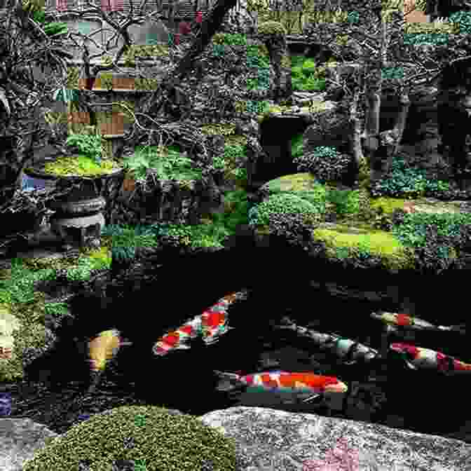 A Picturesque Koi Pond In A Serene Japanese Garden, With Vibrant Koi Fish Darting Among Lush Water Lilies And Cascading Waterfalls. The Gift Of Koi: Paintings And Reflections