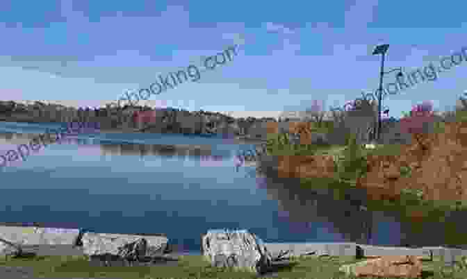 A Scenic View Of Rockwood Park In Saint John, With Trees, Walking Trails, And A Pond. A Walking Tour Of Saint John New Brunswick (Look Up Canada Series)