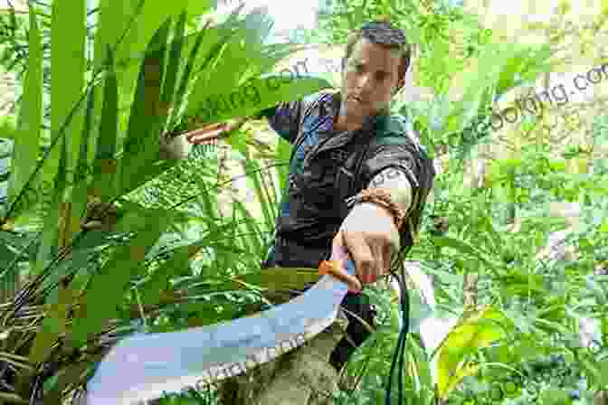Adventurer Using Machete To Clear Path Through Dense Jungle A Taste Of Adventure: Excerpts From The Real Life Jungle Adventure Memoir Dancing With Death