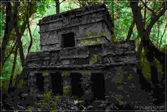 Ancient Mayan Temple Ruins In The Mexican Jungle Lost Maya Cities: Archaeological Quests In The Mexican Jungle