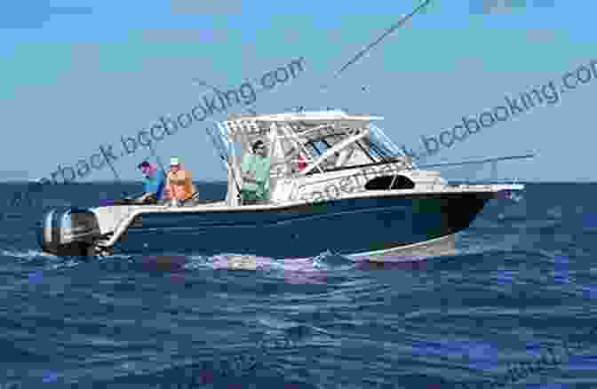 Angler In A Boat Fishing On The West Coast The Codfish Dream: Chronicles Of A West Coast Fishing Guide