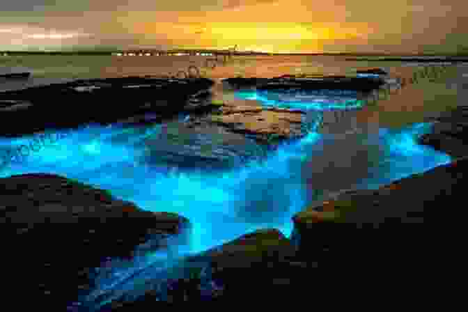Bioluminescent Bay, A Breathtaking Nighttime Spectacle Near San Juan San Juan Puerto Rico Environs (Travel Adventures)