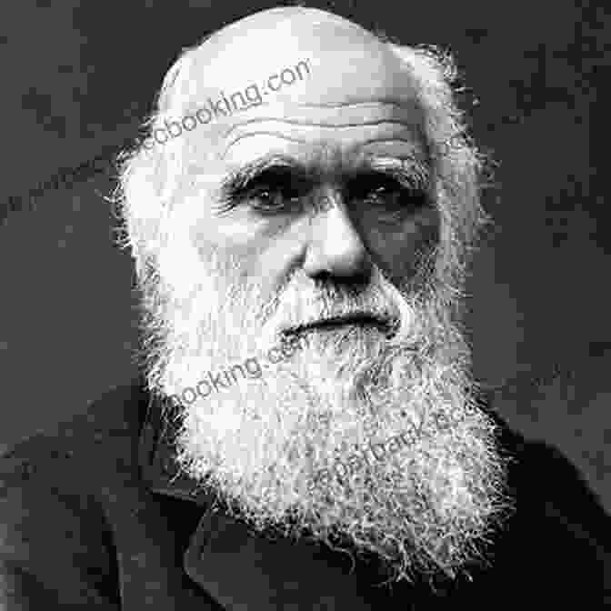 Charles Darwin, Naturalist And Father Of The Theory Of Evolution Charles Darwin And The Voyage Of The Beagle