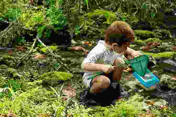 Children Exploring Nature With Excitement And Wonder Animals Of South America South America For Kids Animals Around The World Animals Of The Our Book Library Animals Of South America Children S Explore South America Jungle Animals: World Of Animals
