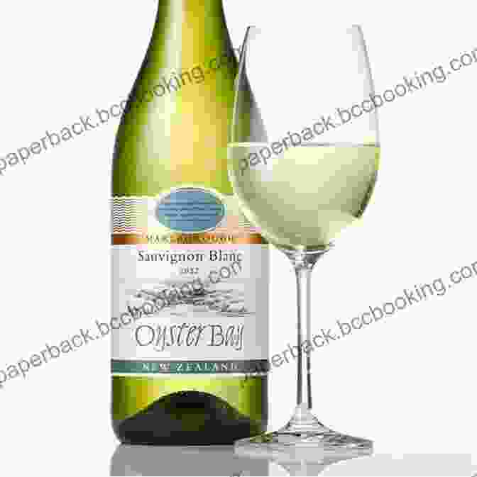 Close Up Of A Glass Of Sauvignon Blanc Wine New Zealand Wine Guide: A Visitor S Guide