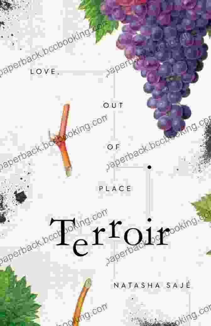 Cover Of Terroir: Love Out Of Place