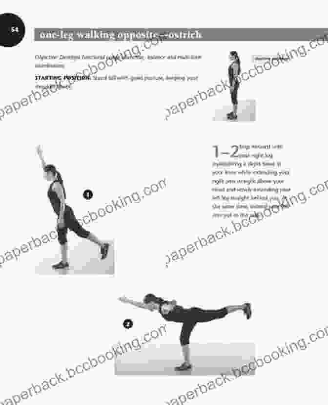 Diagram Of The Revolutionary Warm Up Method Dynamic Stretching: The Revolutionary New Warm Up Method To Improve Power Performance And Range Of Motion