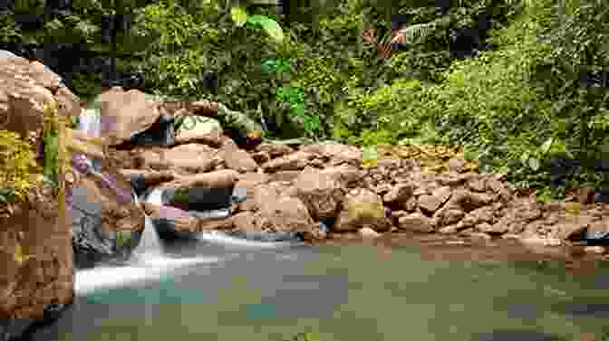 El Yunque Rainforest, A Verdant Paradise Near San Juan San Juan Puerto Rico Environs (Travel Adventures)