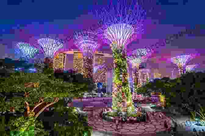Gardens By The Bay DK Eyewitness Top 10 Singapore (Pocket Travel Guide)