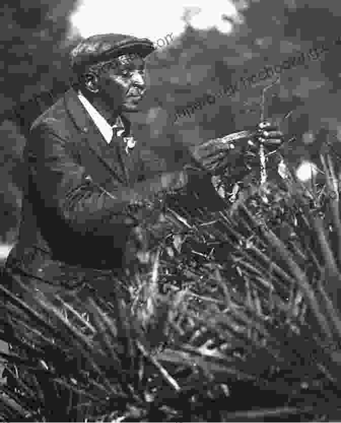 George Washington Carver Surrounded By Plants A New Farm Language: How A Sharecropper S Son Discovered A World Of Talking Plants Smart Insects And Natural Solutions