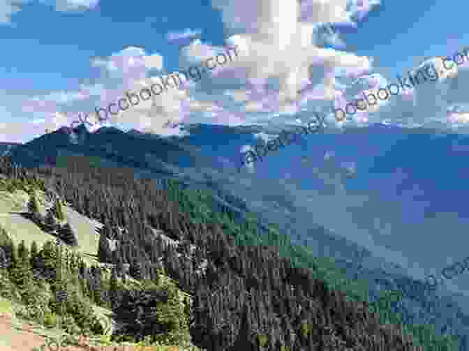 Hurricane Ridge, Olympic National Park What S Great About Washington? (Our Great States)