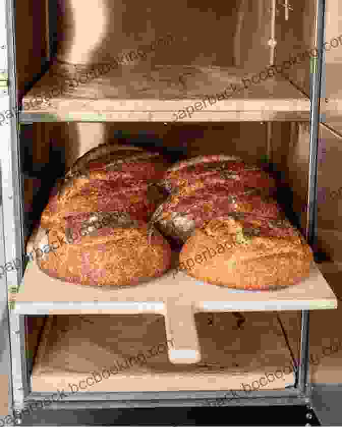 Image Of Bread Baking In An Oven Patisserie: A Step By Step Guide To Baking French Breads In Your Home
