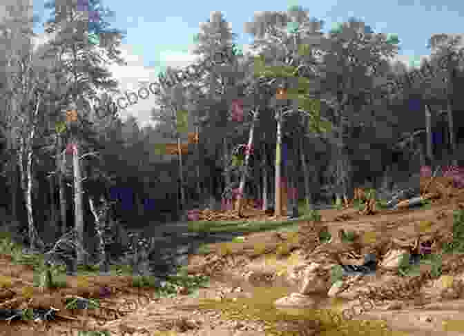 Ivan Shishkin, Forest Landscape, 1872 519 Color Paintings Of Ivan Shishkin Russian Landscape Painter (January 25 1832 March 20 1898)