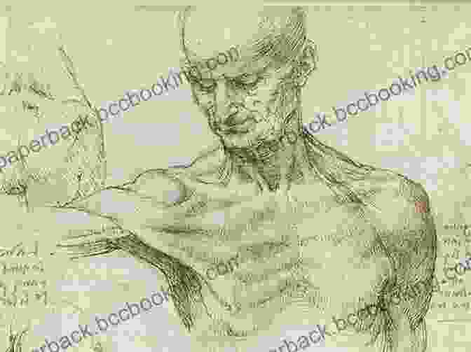 Leonardo Da Vinci's Anatomical Sketch Of A Man Classic Anatomical Illustrations (Dover Fine Art History Of Art)