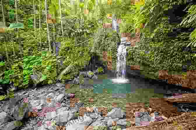 Lush Vegetation And Cascading Waterfalls In The El Yunque Rainforest The Island Hopping Digital Guide To Puerto Rico Part I The West Coast: Including The Mona Passage Mayaguez And Boqueron