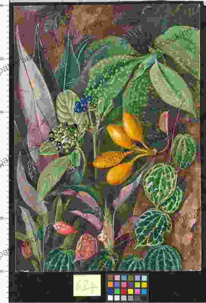 Marianne North On An Expedition, Sketching A Plant 102 Color Paintings Of Marianne North British Victorian Naturalist And Botanical Painter (October 24 1830 August 30 1890)
