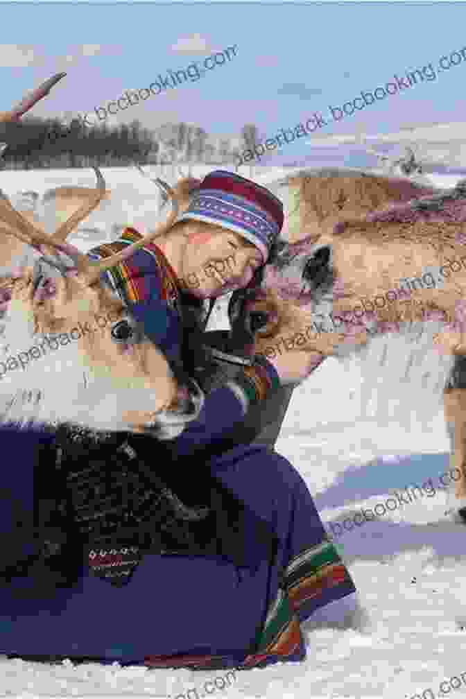 Sami Reindeer Herders In Klaava Lapland: North Of The Arctic Circle In Scandinavia (Klaava Travel Guide)