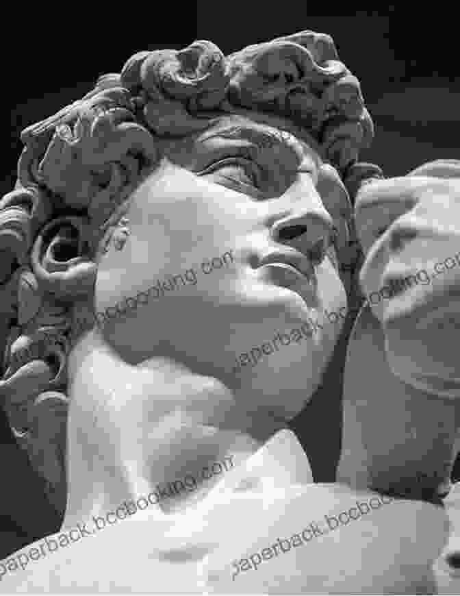 Sculpture Of David By Michelangelo Delphi Complete Works Of Michelangelo (Illustrated) (Masters Of Art 10)