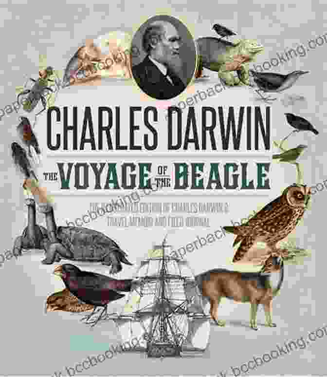 The Voyage Of The Beagle Book By Charles Darwin The Voyage Of The Beagle