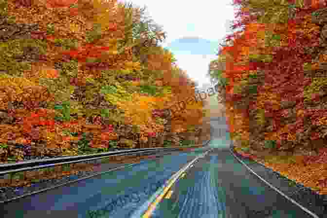 Vibrant Fall Foliage Along A Winding Road In New England Scenic Driving New England: Exploring The Region S Most Spectacular Back Roads