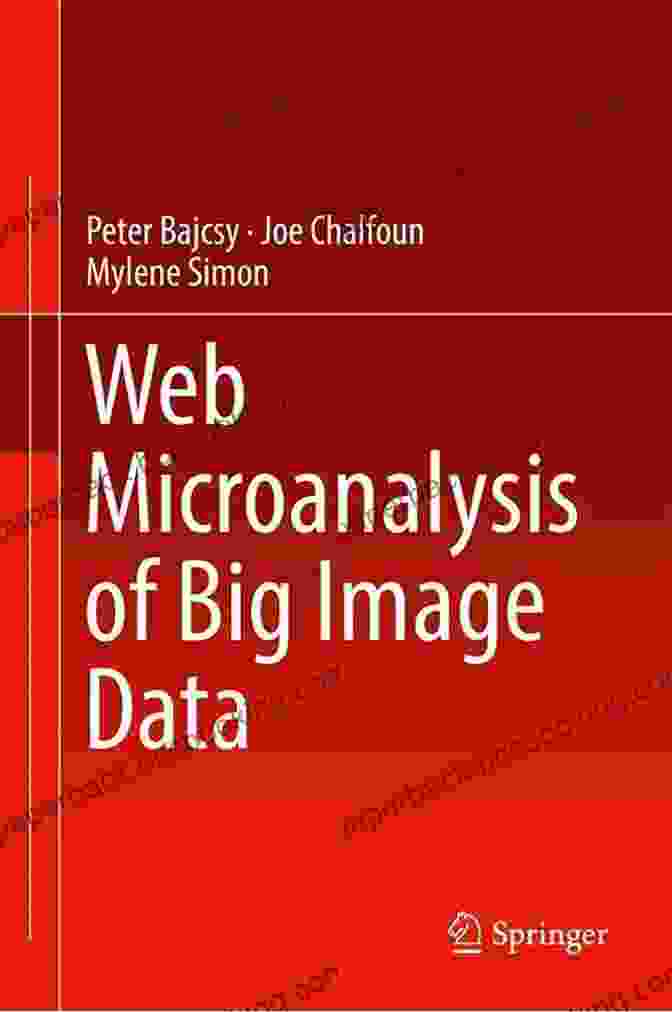 Web Microanalysis Of Big Image Data Book By [Author's Name] Web Microanalysis Of Big Image Data