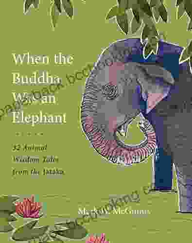 When The Buddha Was An Elephant: 32 Animal Wisdom Tales From The Jataka