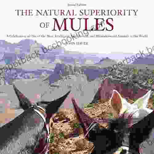 The Natural Superiority Of Mules: A Celebration Of One Of The Most Intelligent Sure Footed And Misunderstood Animals In The World Second Edition