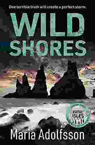 Wild Shores: The Atmospheric Police Procedural That Has Taken The World By Storm (Doggerland 2)