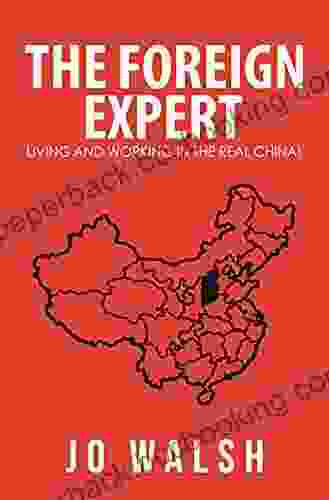 The Foreign Expert: Living And Working In The Real China