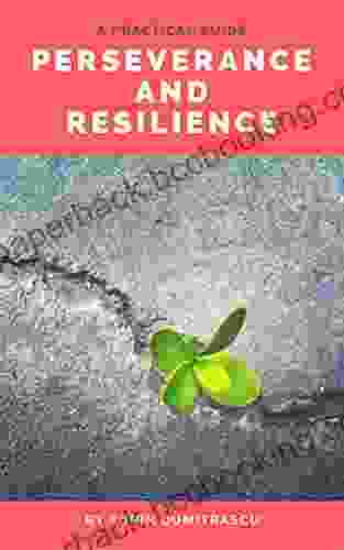 Perseverance And Resilience: A Practical Guide (Management 2)