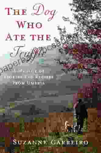 The Dog Who Ate The Truffle: A Memoir Of Stories And Recipes From Umbria