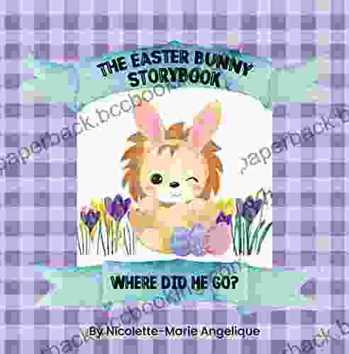 The Easter Bunny Storybook Where Did He Go?