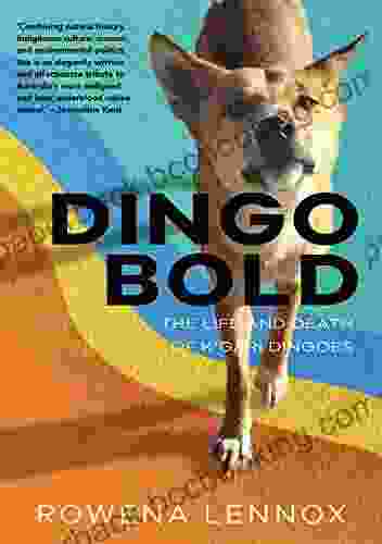 Dingo Bold: The Life And Death Of K Gari Dingoes (Animal Publics)