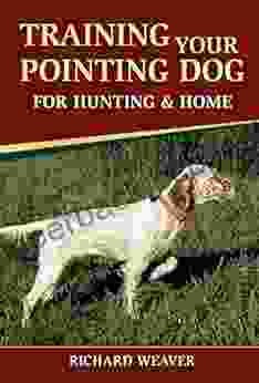 Training Your Pointing Dog For Hunting Home