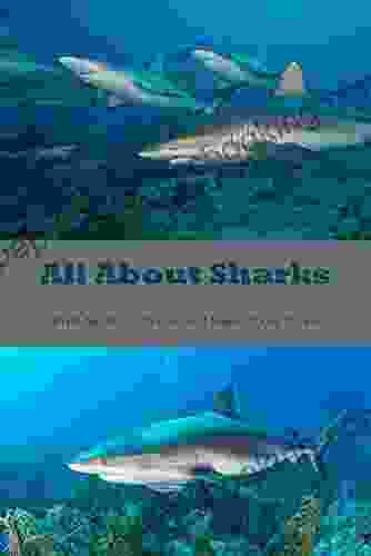All About Sharks: What Needs To Know And More About Sharks